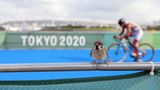 Triathlon Vogel Olympia 2021