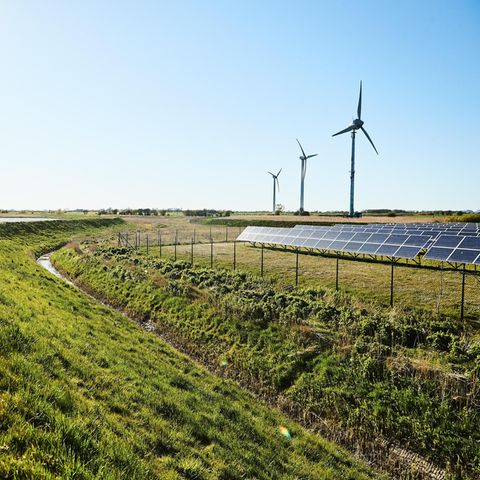 Die Ostseeinsel Fehmarn will schon bis 2030 ihre Treibhausgasbilanz auf null senken. Wind weht hier reichlich, oft scheint die Sonne – aber auch für den Tourismus und den Verkehr braucht es Lösungen