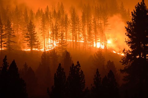 Waldbrände im Juli in Kalifornien