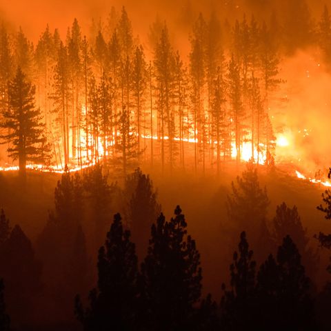 Waldbrände im Juli in Kalifornien