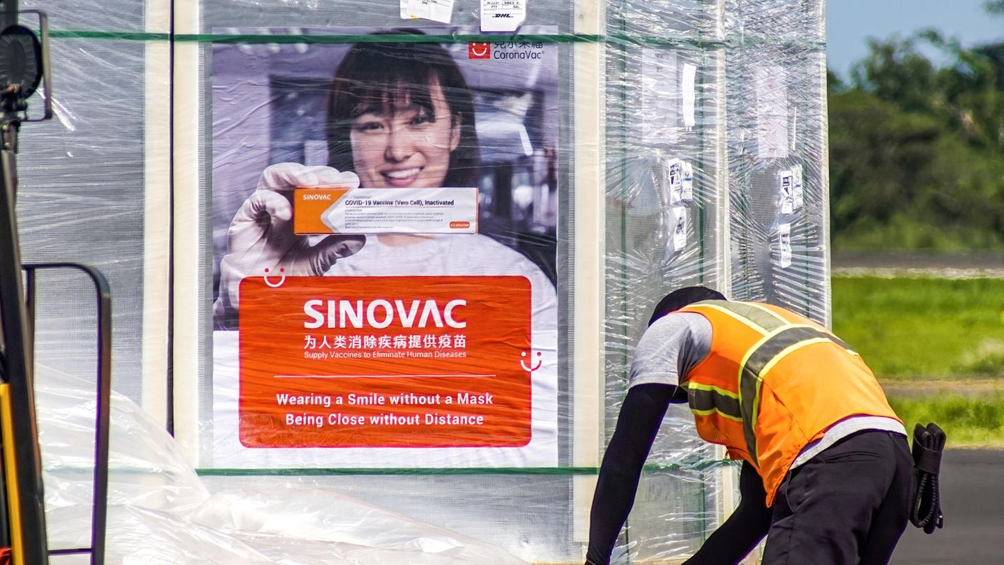 Problem-Impfstoff Sinovac: Chinas Corona-Vakzin schützt wohl nur Monate