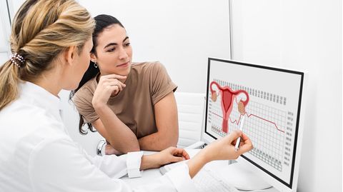 Frauenärztin und junge Frau sitzen vor einem Monitor mit der Abbildung der weiblichen genitalen Anatomie