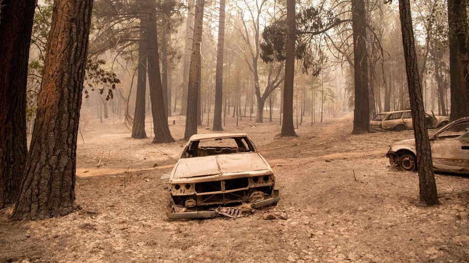 Verheerende Zerstörungen durch Waldbrände im Norden Kaliforniens
