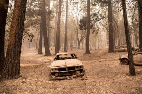 Verheerende Zerstörungen durch Waldbrände im Norden Kaliforniens