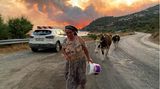 Bodrum, Türkei: Eine Frau flieht mit ihren Tieren vor einem sich ausbreitenden Waldbrand