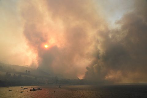 Auch in Griechenland brennen aufgrund großer Hitze die Wälder.
