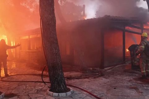 Waldbrände in Griechenland: Feuer bei Athen außer Kontrolle – Feuerwehrleute kämpfen an drei Fronten