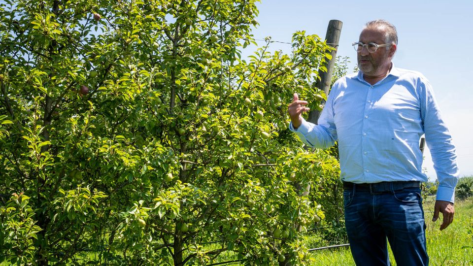 Hans Reisetbauer: Hans Reisetbauer lebt im Einklang mit der Natur Hans Reisetbauer lebt im Einklang mit der Natur
