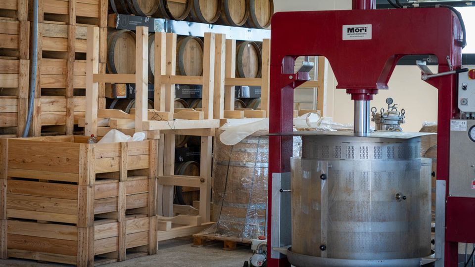 Hans Reisetbauer: Die Sojaproduktion läuft auf Hochtouren Die Sojaproduktion läuft auf Hochtouren