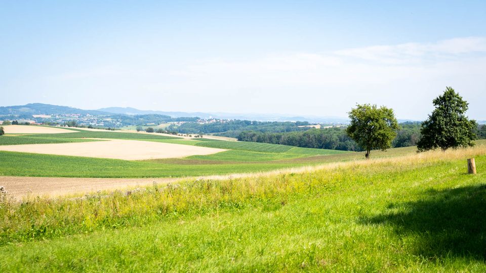 Hans Reisetbauer: Die Felder um Axberg Die Felder um Axberg