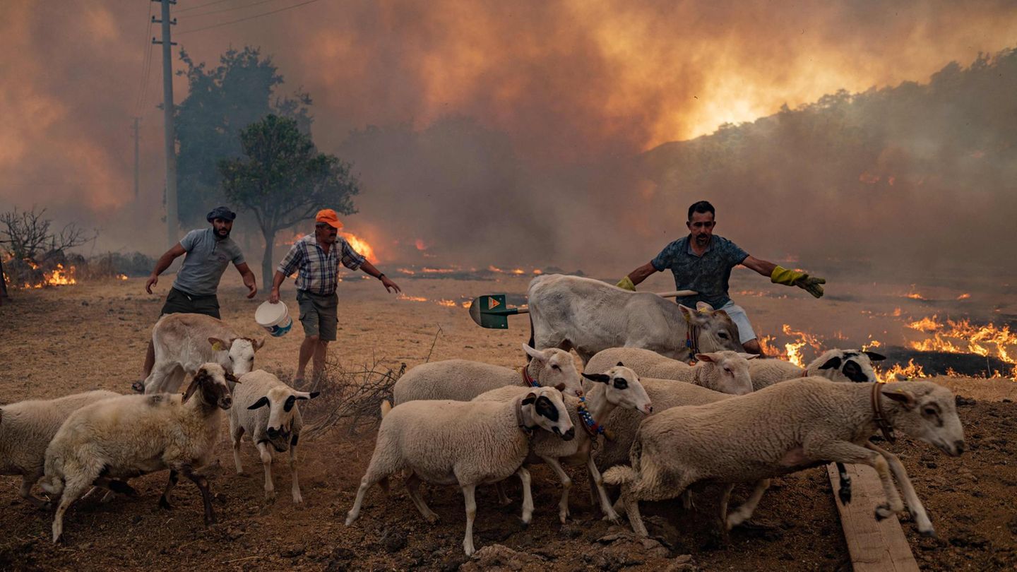 Feuer in Mugla, Türkei