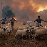 Feuer in Mugla, Türkei