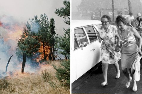 Gut eine Woche lang hatten im August 1975 in der Lüneburger Heide die Flammen gewütet