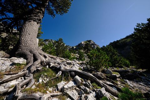 Qafa e Pejës, Gebirgspass im nördlichen Albanien