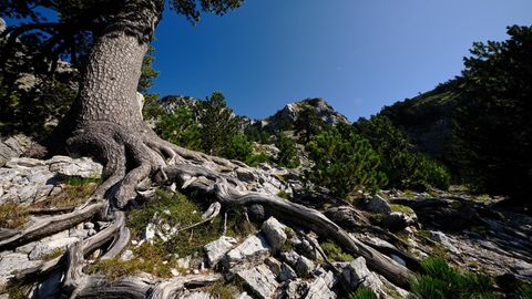 Qafa e Pejës, Gebirgspass im nördlichen Albanien
