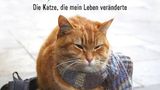 Hörbuch James Bowen: Bob, der Streuner Die Katze, die mein Leben veränderte