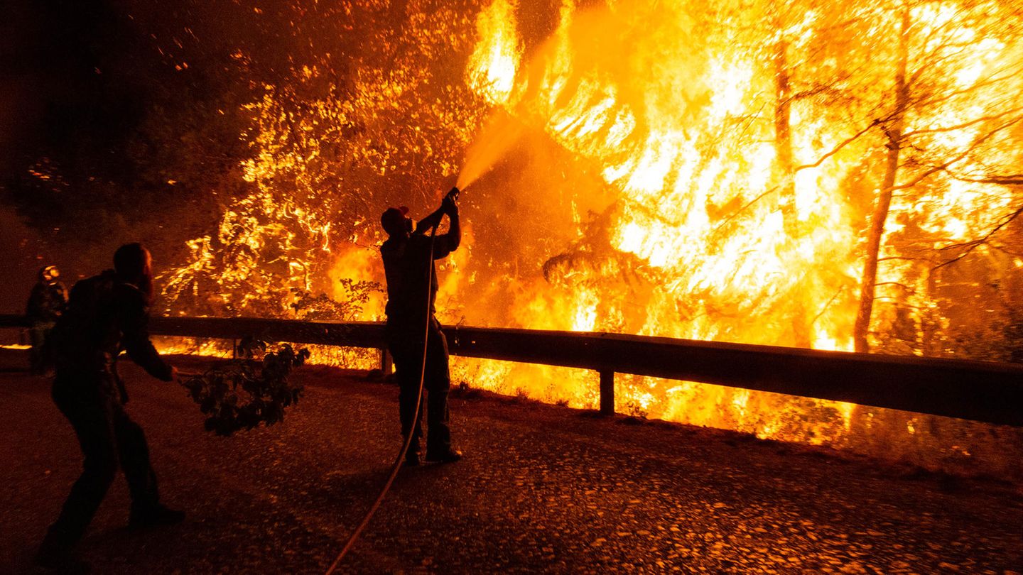 Athen, Griechenland. Freiwillige Helfer unterstützten einen Feuerwehrmann bei den Löscharbeiten eines Waldbrandes