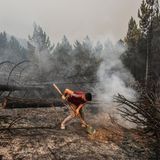Milas, Türkei. Ein Mann schaufelt Sand auf Glut