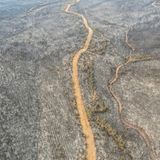 Milas, Türkei. Die Luftaufnahme zeigt einen niedergebrannten Wald in der Nähe des Kohlekraftwerks Kemerkoy