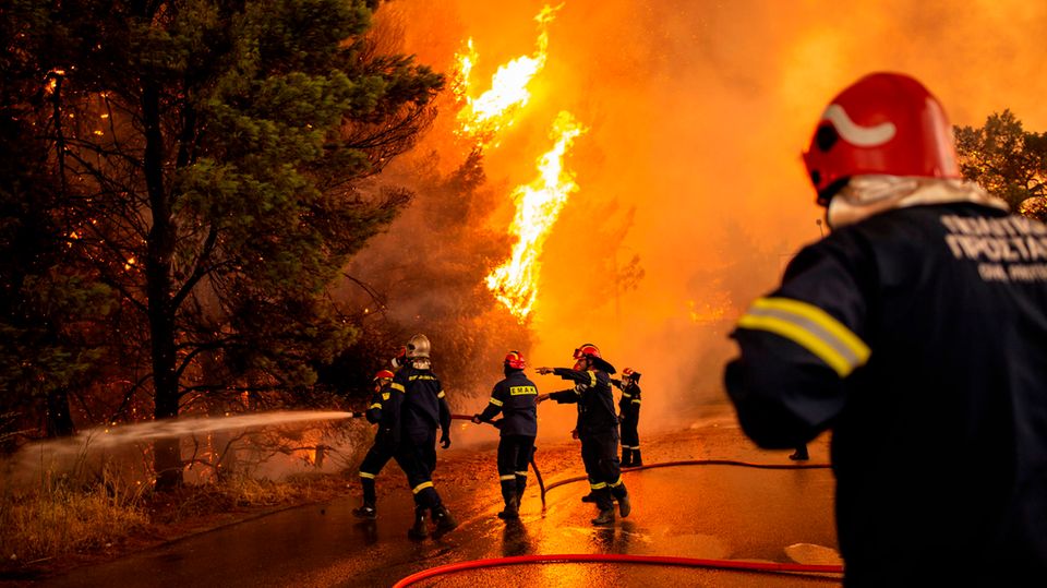 Griechenland Feuerwehr Waldbrand Ein Trupp Feuerwehrleute nähert sich mit einem roten Wasserschlauch einem lodernden Nadelbaum