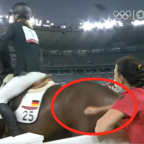 Trainerin Kim Raisner versetzt dem Tier einen Schlag mit der Faust
