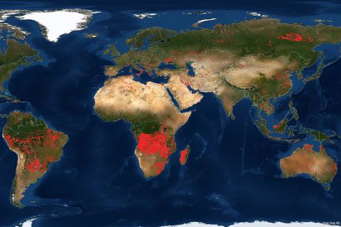Hier sieht man das Flammeninferno vom 8. August 2021 weltweit. Jeder rote Punkt ist ein Brandherd. Die Nasa hat Satellitendaten auf einer Weltkarte auf ihrem frei zugänglichen Server FIRMS zusammengeführt. Das steht für "Fire Information for Ressource Management" und soll einen Überblick über die Waldbrandlage verschaffen.