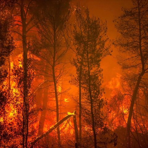Flammenwand auf der griechischen Insel Euböa