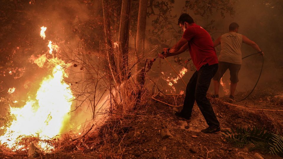 Griechenland, Evia Island: Freiwillige Helfer schlange mit Zweigen auf die Flammen eines Waldbrandes ein