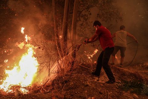 Griechenland, Evia Island: Freiwillige Helfer schlange mit Zweigen auf die Flammen eines Waldbrandes ein