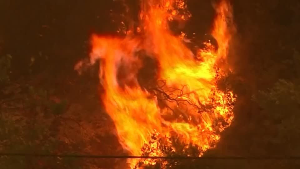 Video: Griechische Feuerwehr kämpft weiter gegen Waldbrände Video: Griechische Feuerwehr kämpft weiter gegen Waldbrände