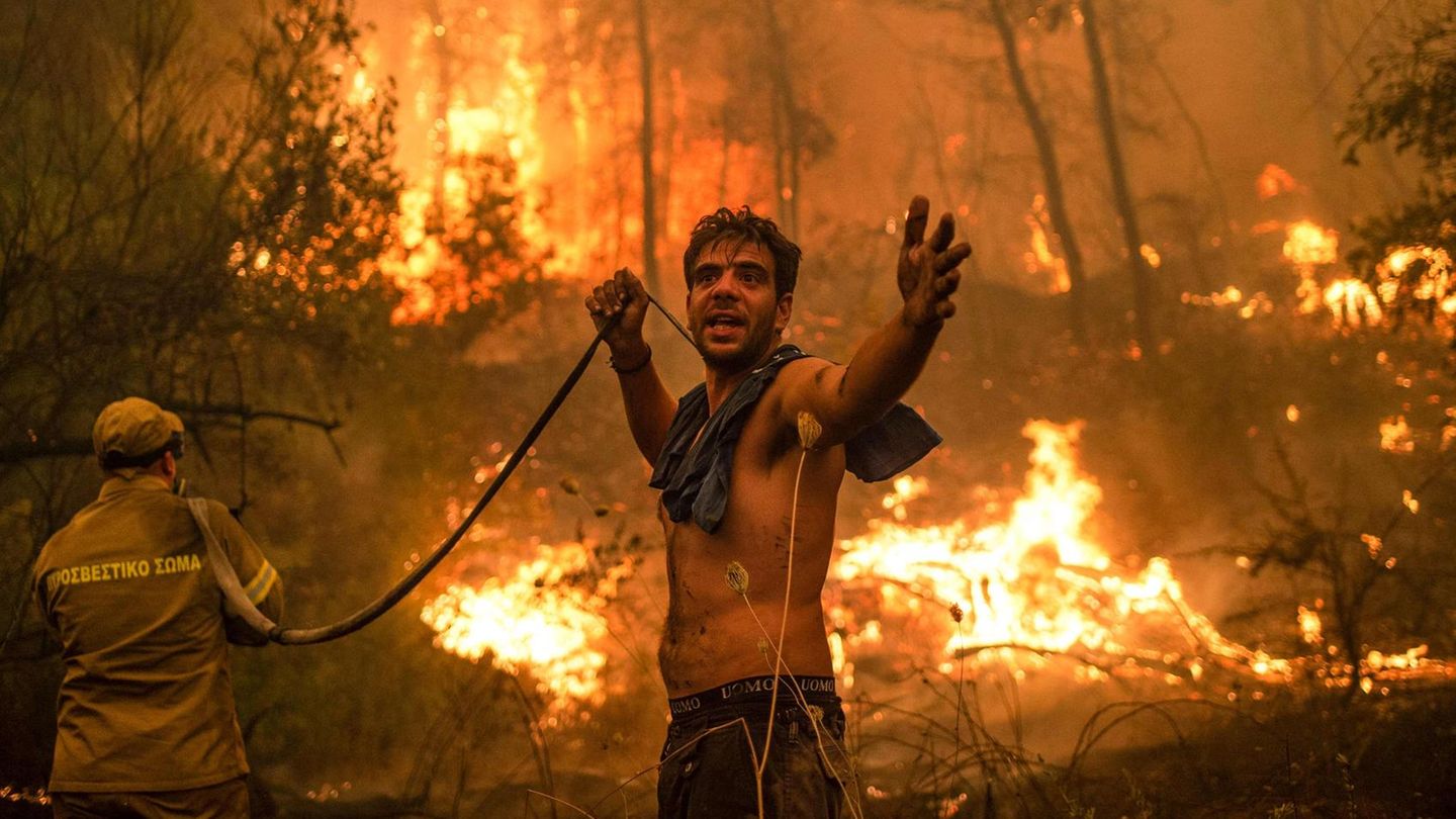Nach Hitzewelle in Griechenland: Das Inferno von Euböa: So schlimm wüten die Waldbrände auf der griechischen Insel