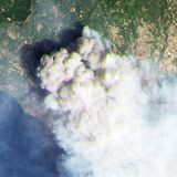 Ein Satellitenbild vom 4. August zeigt, wie heftig das Feuer auf Euböa brennt.