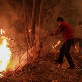 Viele Ortschaften sind weiterhin von Flammen umzingelt, auch wenn sich die Menschen mit aller Macht gegen die Flammen stemmen.