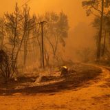 Was vielerorts nach dem Inferno bleibt, ist verbrannte Erde unter einem Mantel aus Asche.