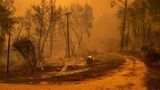 Was vielerorts nach dem Inferno bleibt, ist verbrannte Erde unter einem Mantel aus Asche.