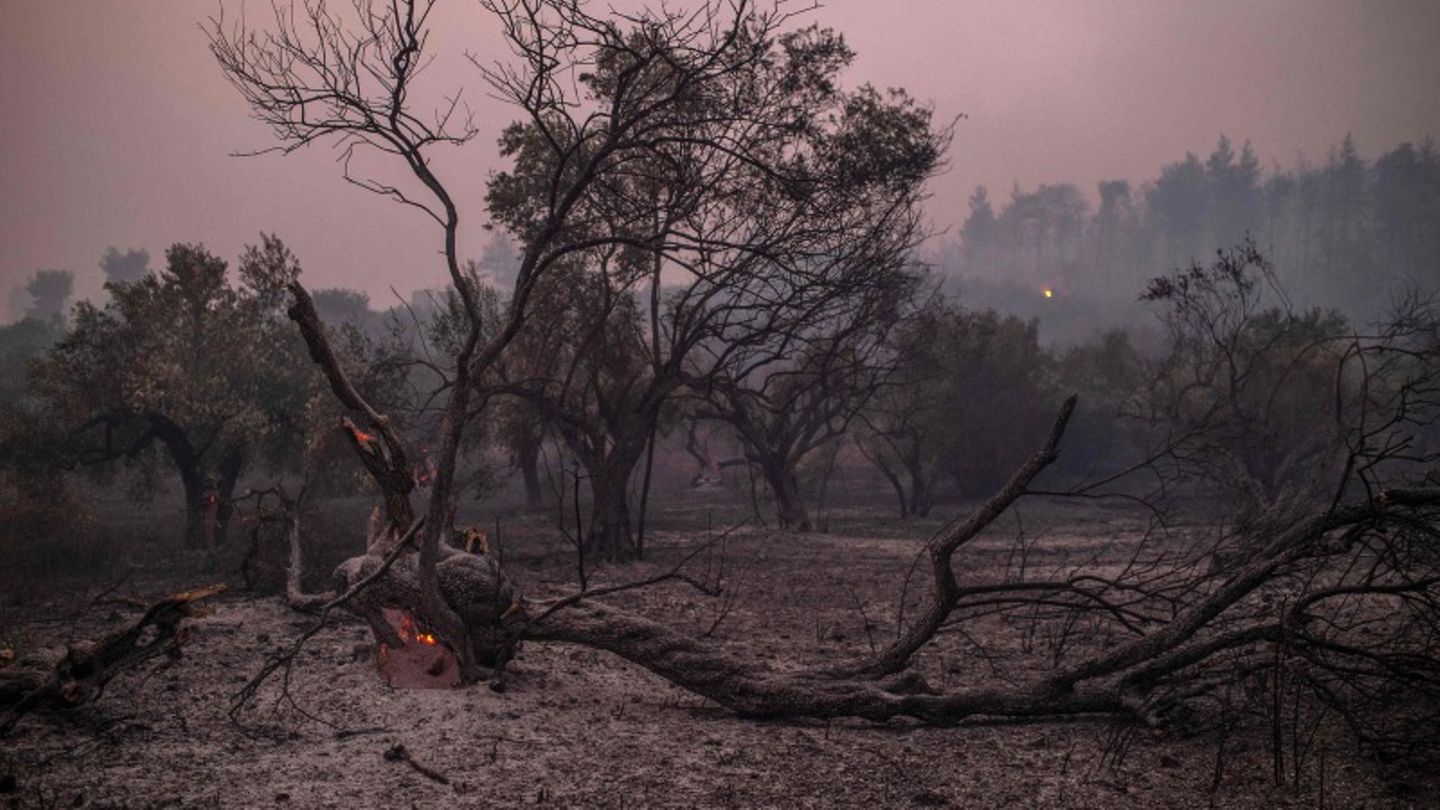 Die Wiederaufforstung und das Beheben der Schäden werden vermutlich Jahre in Anspruch nehmen – bis die nächste Feuersbrunst kommt. Durch den Temperaturanstieg, von dem Griechenland wie die gesamte Mittelmeerregion besonders betroffen ist, steigt das Risiko von Waldbränden.