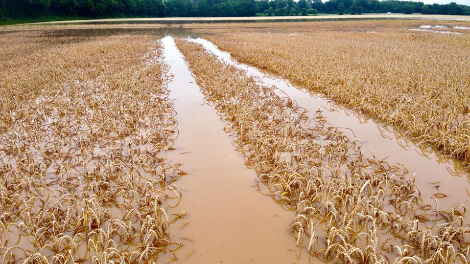 Landwirt nach der Flut vor Millionen-Schäden: "Wir haben erst mal den anderen geholfen"