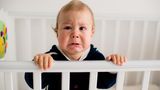 Brabbeln, krabbeln - und leider auch fremdeln  Das Baby ist bald ein Kleinkind. Es robbt und krabbelt bereits. Die U6, die Einjahresuntersuchung, naht. Der Kinderarzt schaut nun abermals, wie gut das Sprössling seinen Körper beherrscht. Es sollte jetzt mit gestreckten Beinen und geradem Rücken frei sitzen können. Viele Kinder können sich in diesem Alter bereits alleine in den Stand hochziehen und sich an den Möbeln entlanghangeln. Manche stehen sogar kurz, ohne sich festzuhalten, einige wenige laufen sogar schon einige Schritte. Der Arzt probiert auch aus, ob das Kind mit Daumen und Zeigefinger gezielt nach Gegenständen greifen kann. Wenn ja, dann kann es den Pinzettengriff ausüben.  Was Tante und Onkel nicht mehr begeistern wird: Das Baby mag vielleicht nicht mehr auf den Arm von jedem, es fremdelt. Einjährige tun das häufiger. Deshalb unterhält sich der Arzt mit den Eltern über Trennungsängste. Außerdem fragt er, wie sich das Kind sprachlich entwickelt und wie es sich im Alltag verhält. Reagiert es zum Beispiel nicht auf leise Geräusche, hört es schlecht. Der Arzt wird eine Hörprüfung empfehlen. Sieht das Kind schlecht oder schielt es, schickt er es zum Augenarzt.
