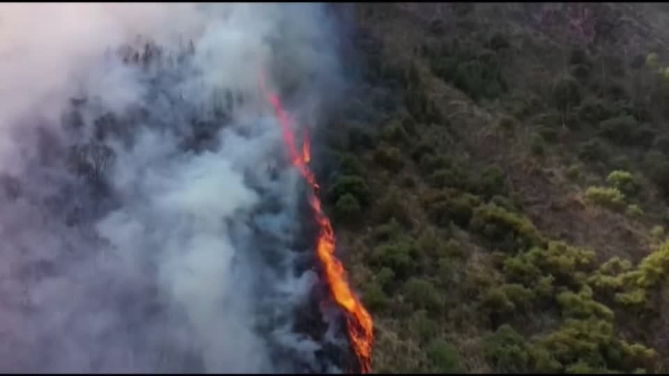 Video: Waldbrände in Bolivien, Peru und Brasilien