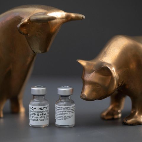 Bull oder Bear? Die Biontech-Aktie