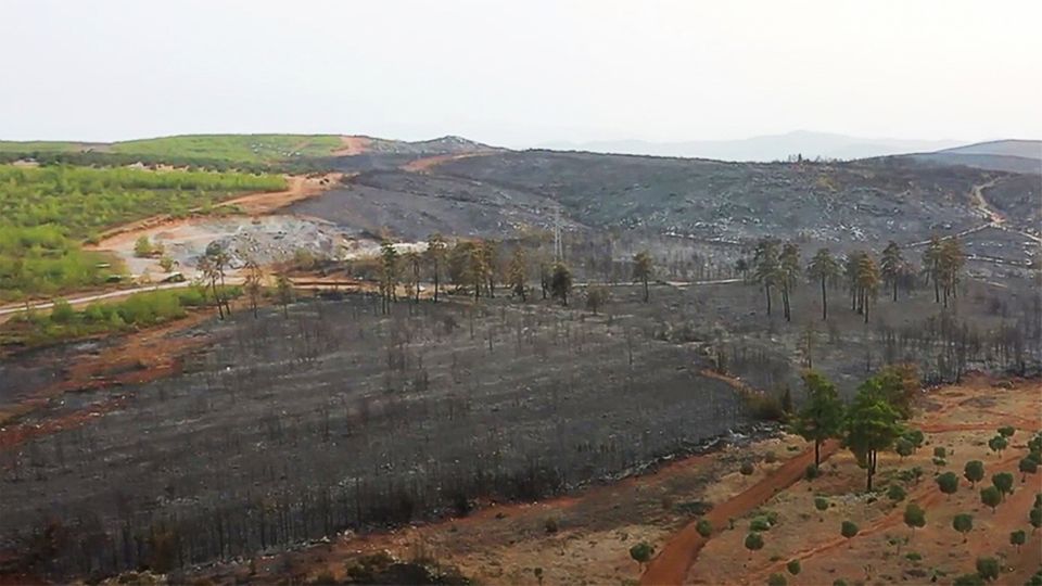 Drohnen-Videos zeigen das verheerende Ausmaß der Waldbrände in Türkei