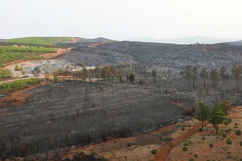 Drohnen-Videos zeigen das verheerende Ausmaß der Waldbrände in Türkei