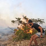 Ein junger Mann in Shorts und mir Käppi holt mit einem Zweig in der rechten Hand aus, um Flammen am Boden auszuschlagen