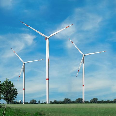 Windräder auf einem Feld