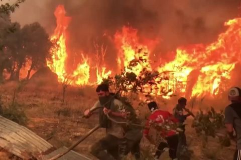 Mittelmeerraum in Flammen: Rekordhitze und Wind erschweren Löscharbeiten auf Sizilien