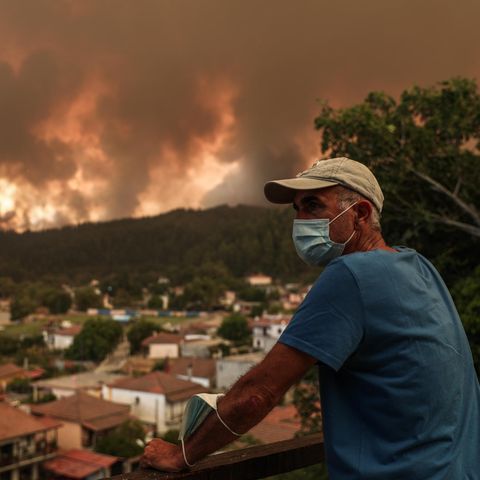 Insel Euböa, Feuer in Gouves im Norden der griechischen Insel Euböa (Evia)