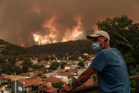 Insel Euböa, Feuer in Gouves im Norden der griechischen Insel Euböa (Evia)