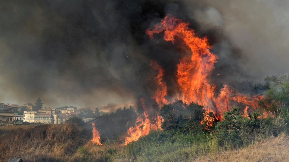 Schon 2020 zerstörten Feuer fast 900.000 Hektar Wald in Europa | STERN.de