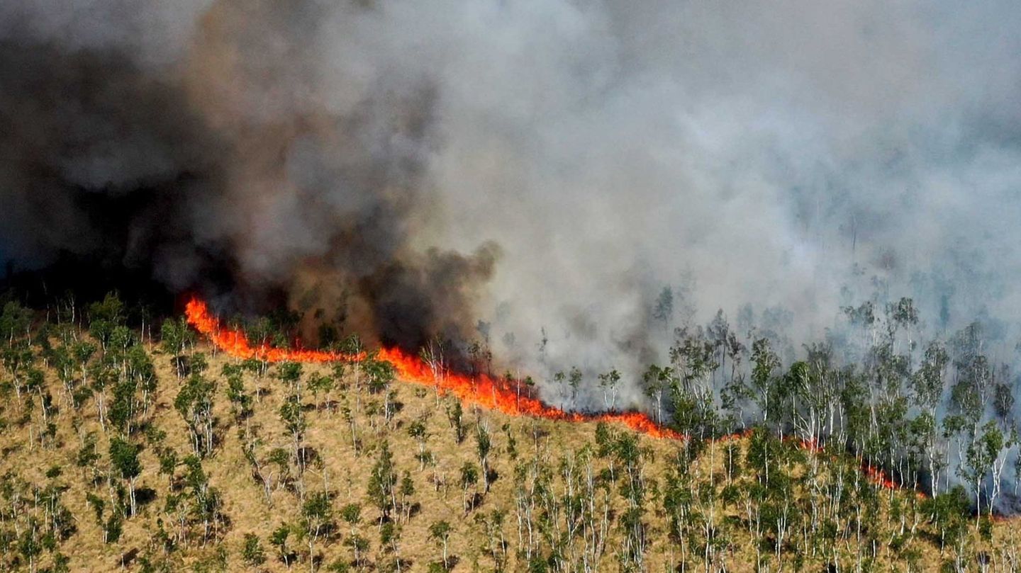 Blick auf die dunkle Rauchwolke eines Waldbrandes im Loben-Moor in Brandenburg im vergangenen Jahr
