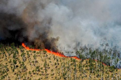 Blick auf die dunkle Rauchwolke eines Waldbrandes im Loben-Moor in Brandenburg im vergangenen Jahr